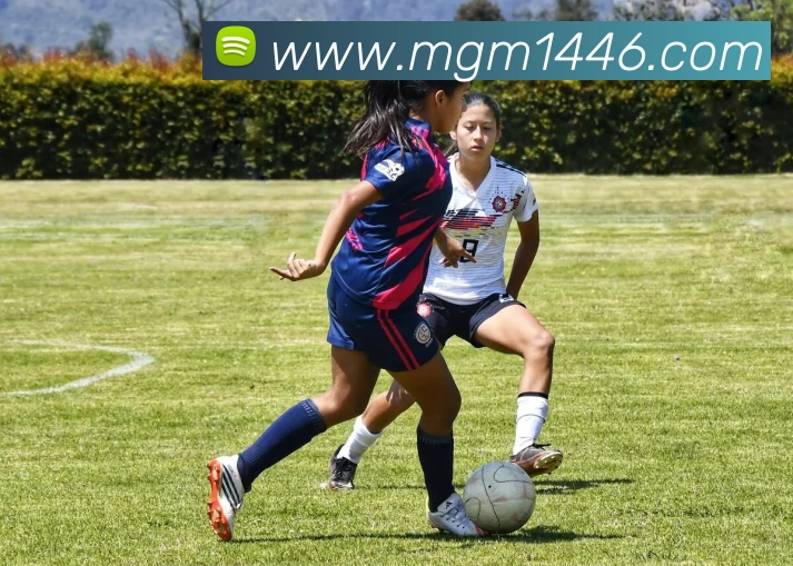 澳门美高梅线上娱乐平台生态图